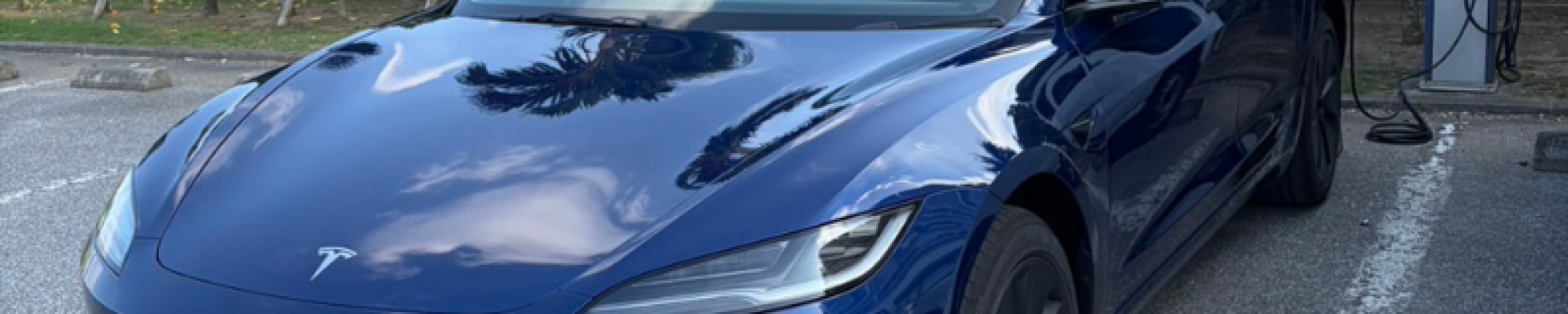 ブログ写真 _横(800 x 600 px)